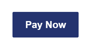 Pay Now Icon 